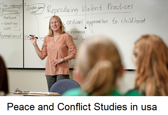 peace and conflict studies in usa